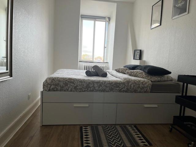 Appartement Cosy Rent Strasbourg Orangerie Tv Wifi Cathedrale Extérieur photo