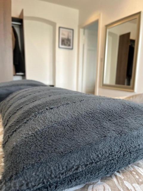 Appartement Cosy Rent Strasbourg Orangerie Tv Wifi Cathedrale Extérieur photo