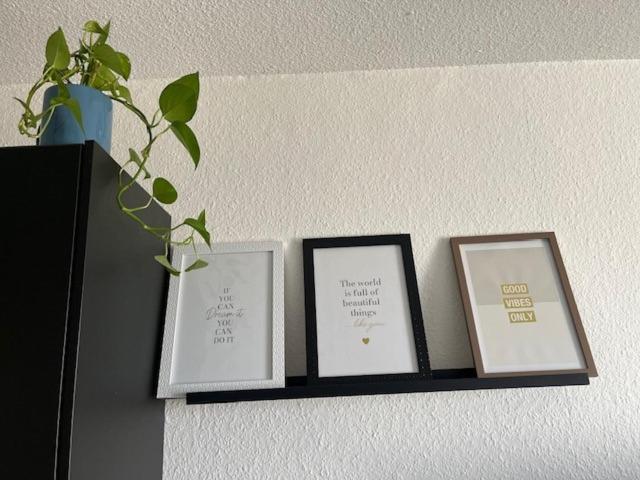 Appartement Cosy Rent Strasbourg Orangerie Tv Wifi Cathedrale Extérieur photo